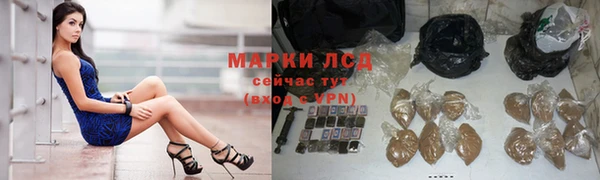 гидра Армянск